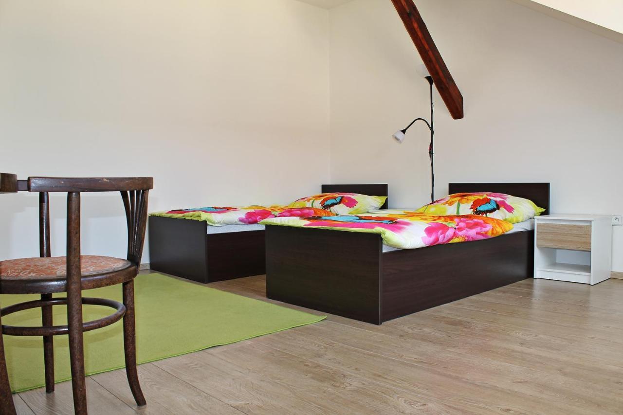 Attic With Parking, Near The Center Of Cb - 110M2 Διαμέρισμα Τσέσκε Μπουντεγιόβιτσε Εξωτερικό φωτογραφία